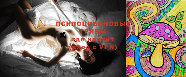 прущая мука Алзамай