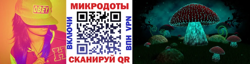 Галлюциногенные грибы GOLDEN TEACHER  даркнет сайт  Таганрог 